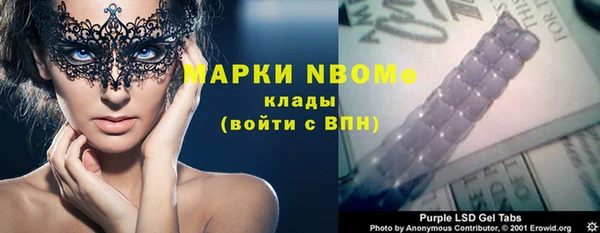 шишки Горнозаводск