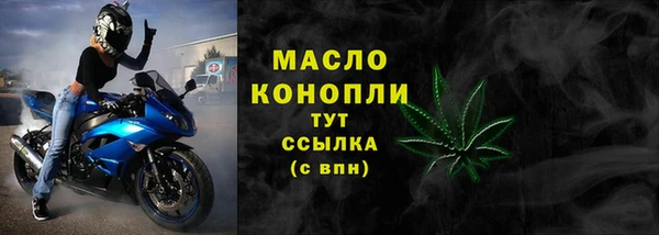 mdpv Вяземский