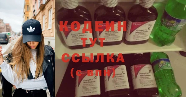 шишки Горнозаводск