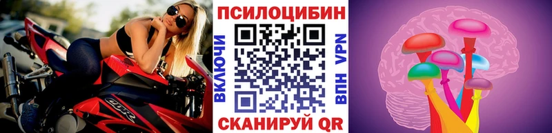 Псилоцибиновые грибы GOLDEN TEACHER  Купить где  Орлов 